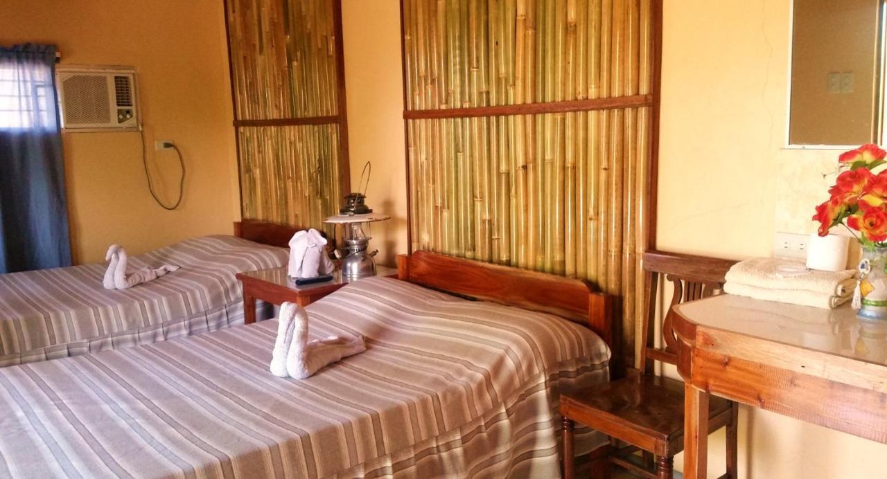 Tagudan Kubo Garden Hotel Tagudin 外观 照片